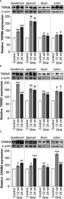 Mass spectrometric analysis of TRPM6 and TRPM7 from small intestine of omeprazole-induced hypomagnesemic rats